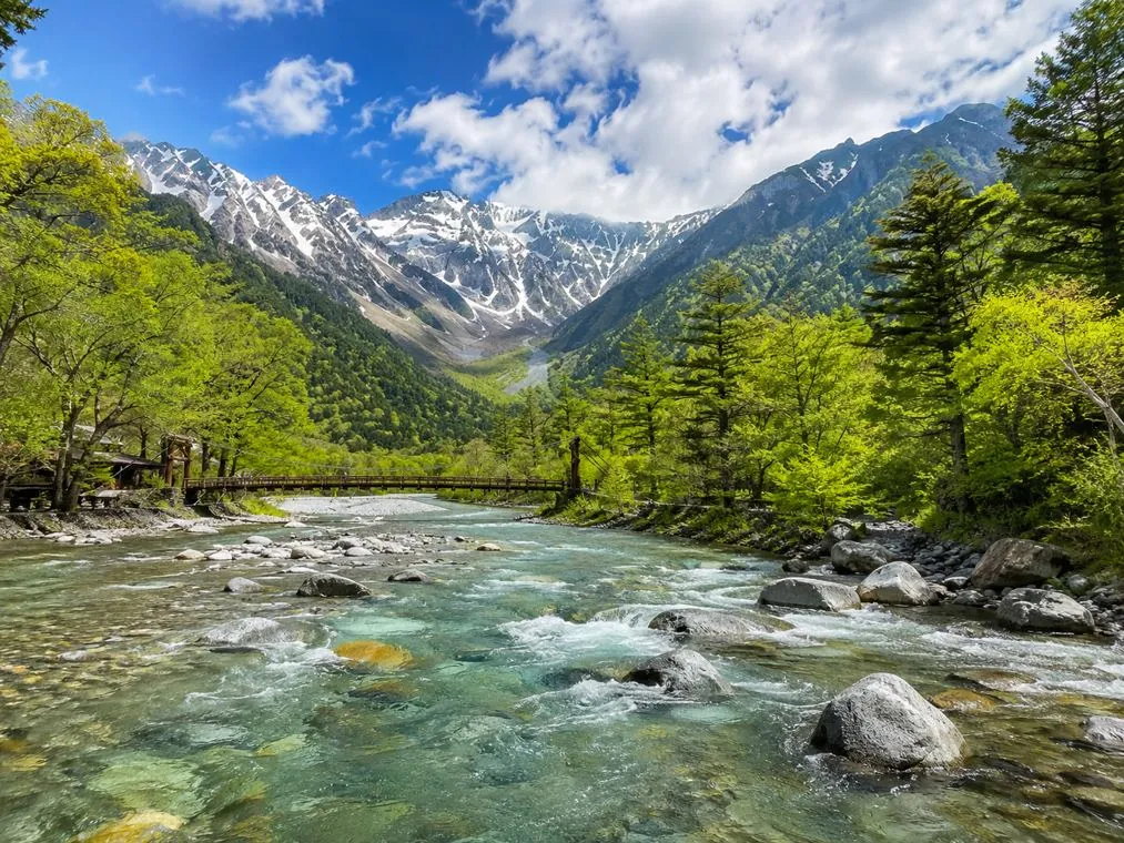 東北の風景と郷土の味を巡る旅のイメージ